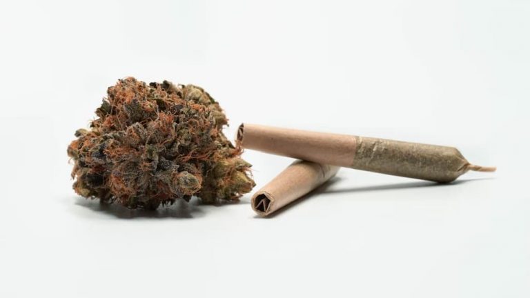 legalizacja marihuany